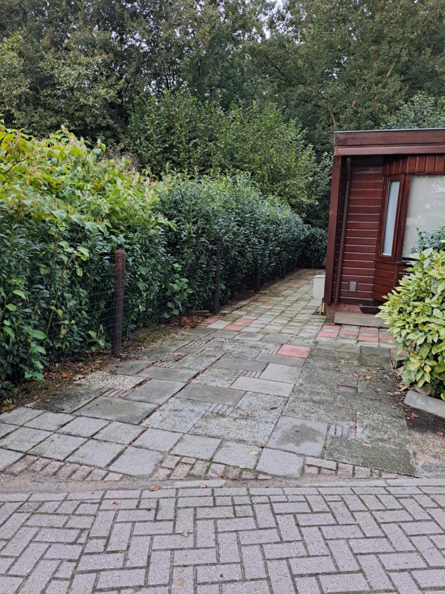 Rustiek Bos Chalet Sven Putten Exterior foto